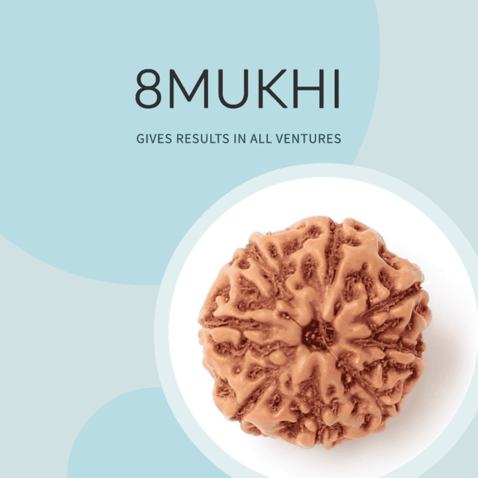 8 Mukhi Rudraksha | Power of 8 Mukhi Rudraksha: The Ultimate Guide